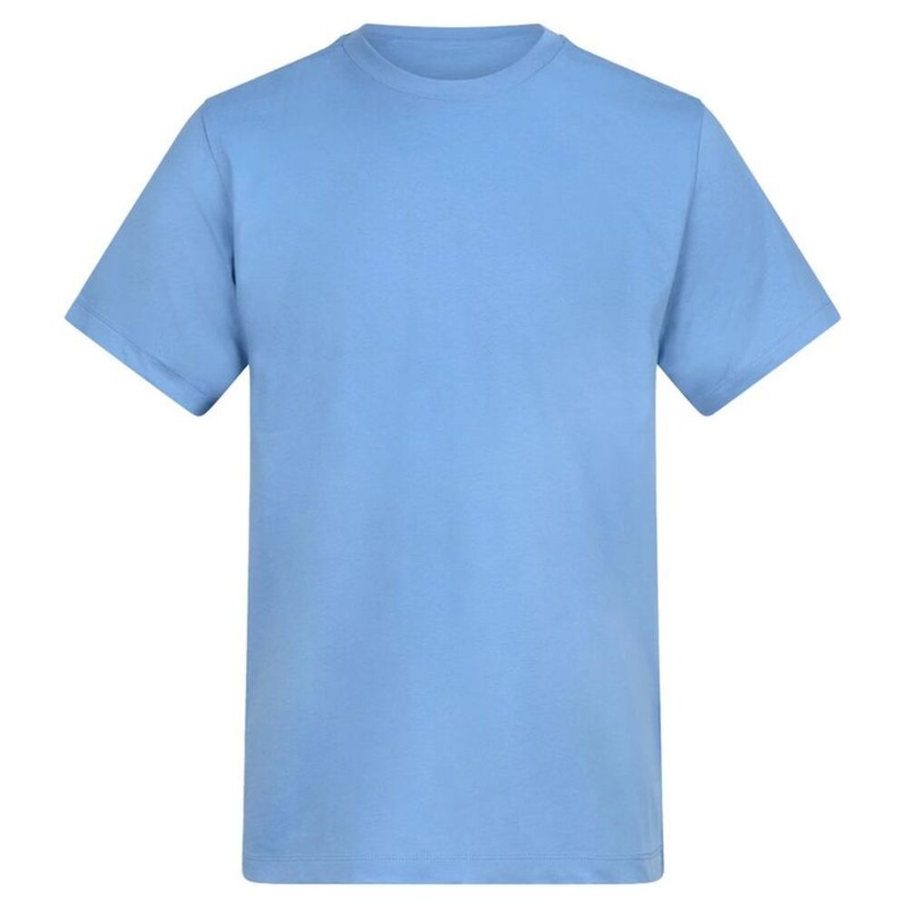 Awdis Unisex Adult Cotton T-Shirt / Cornflower Blue